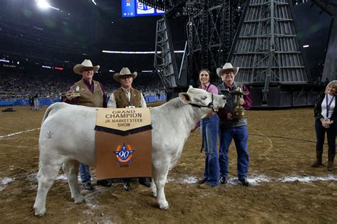 <b>Houston</b> <b>Livestock</b> Show and Rodeo Opening Day February 28. . Houston horse auction